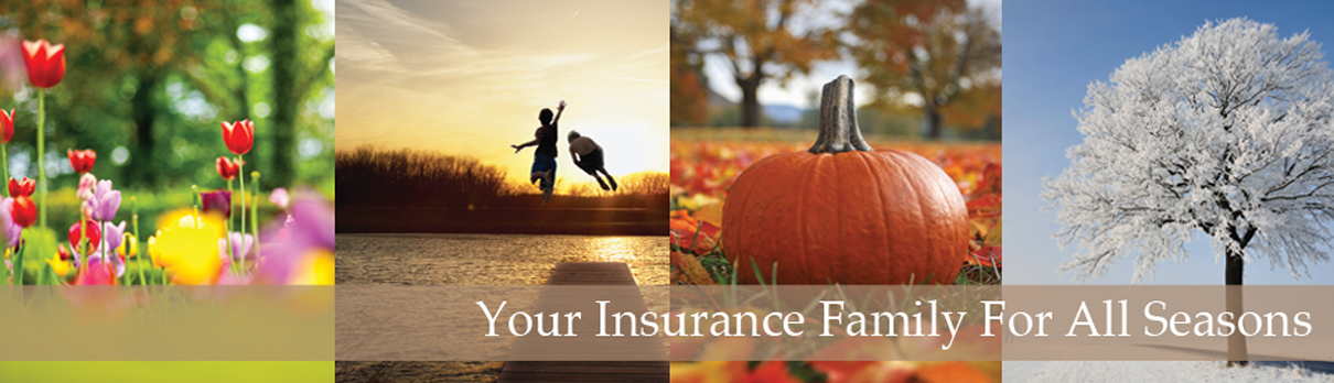 Blick Dillion Insurance