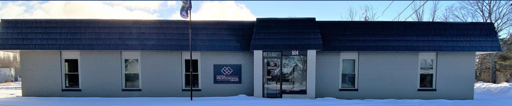 Central Professional Services