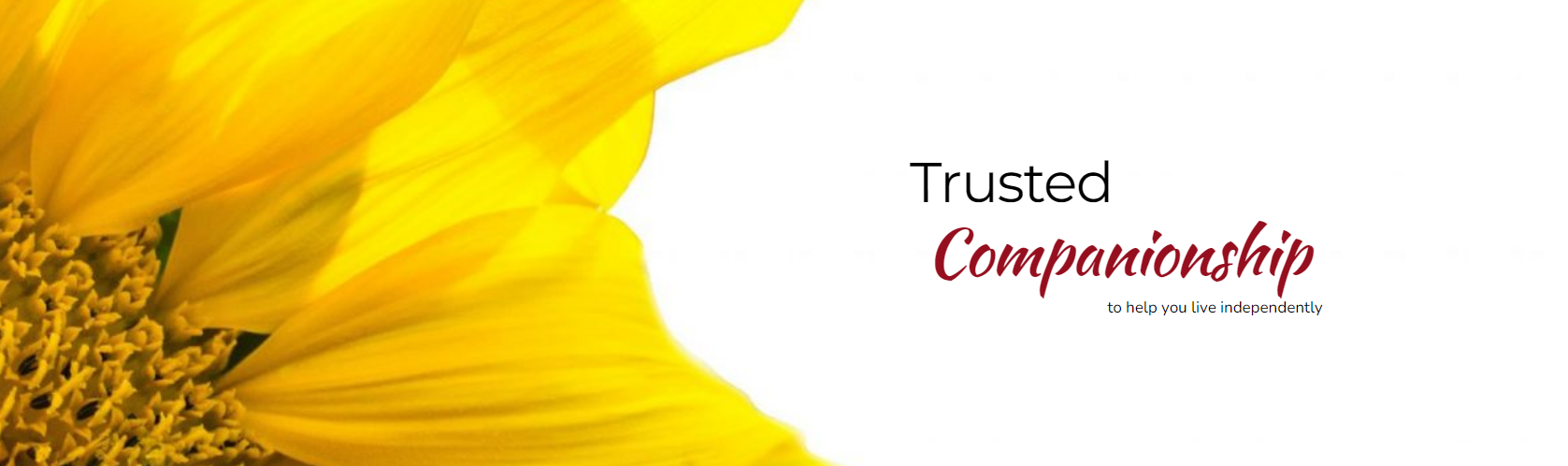 Real Life Living Services